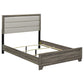 Wright 50-inch Upholstered Eastern King Bed Brown Oak