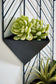 Dashney Wall Planter JB's Furniture  Home Furniture, Home Decor, Furniture Store